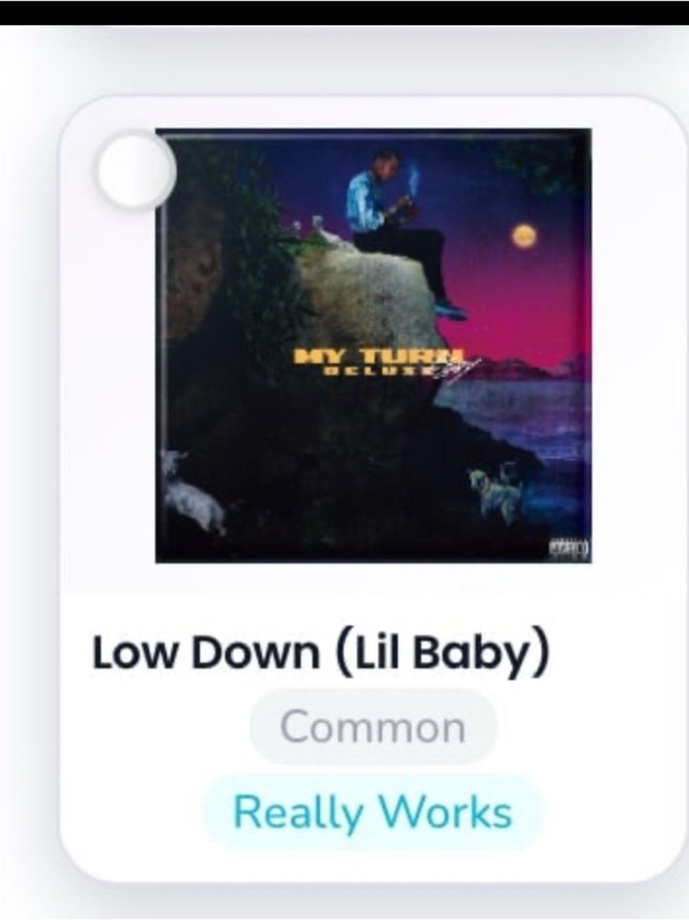 Mini Brands Vinyl Really Works